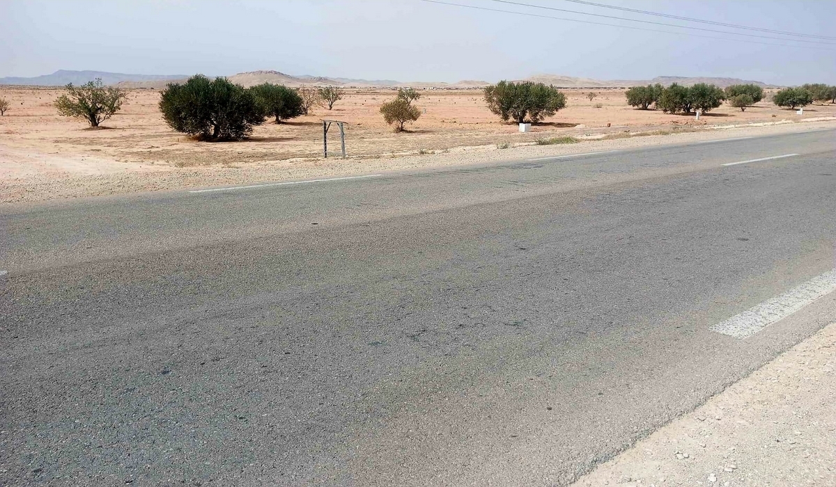 بالفيديو : ابتداء من مليون اليوم تنجم تكسب قطعة أرض‼️في المزونة بسيدي بوزيد