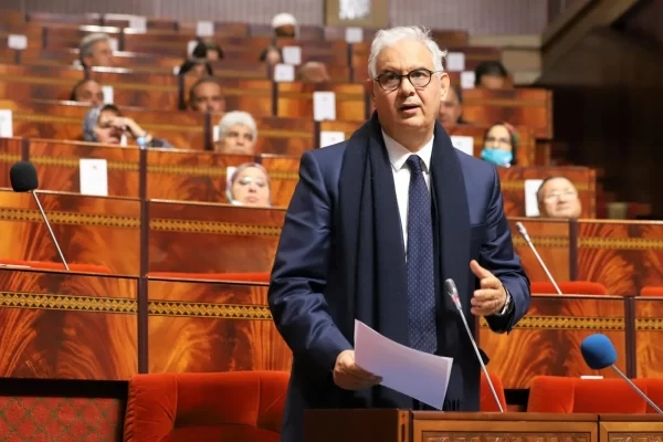 بركة: مستوردو الماشية زادوا في أرباحهم على حساب المواطنين