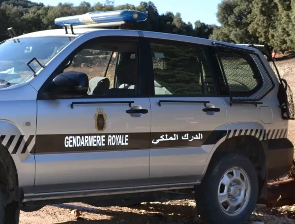 عملية نوعية لدرك تسلطانت تُنهي نشاط 'لص' يستهدف الدراجات النارية