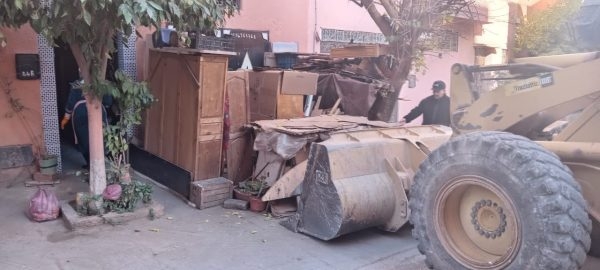 جماعة مراكش توضح بخصوص أشجار معمرة بشارع محمد الخامس