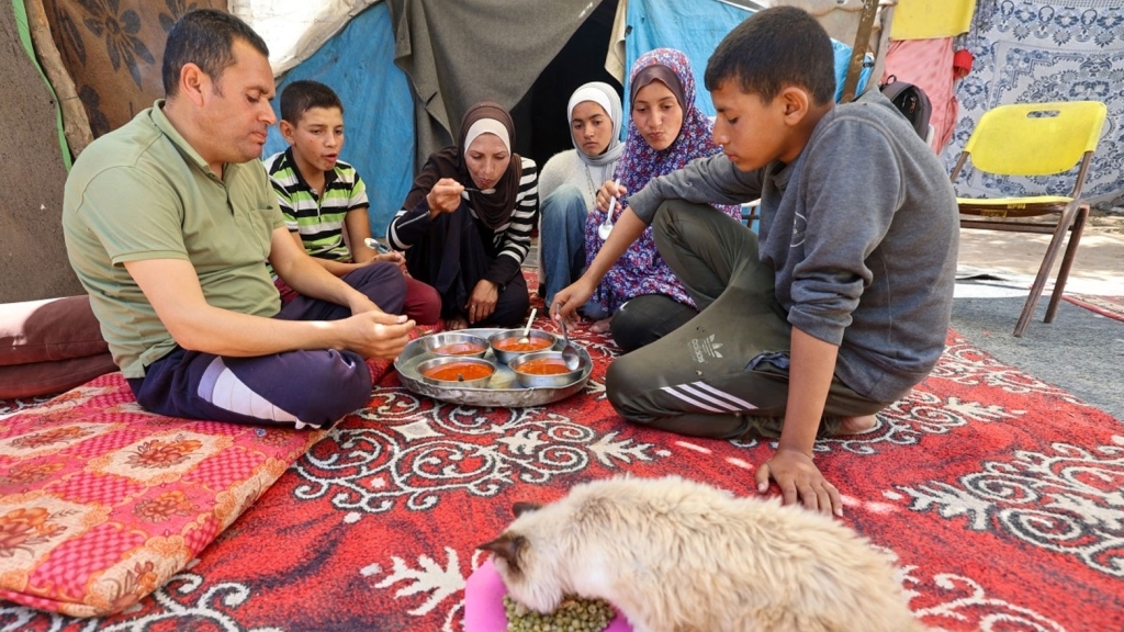 وسط أزمة غذاء.. فلسطينيون يلجأون إلى لحم السلاحف