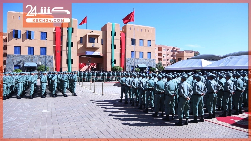 بعد تنامي أعدادها… انطلاق عملية جمع الكلاب الضالة بتمصلوحت +صور