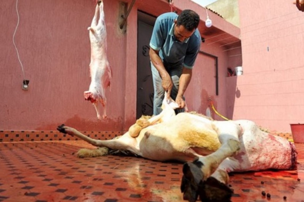 مجتمع في خضم جدل الأضحية.. السكنفل لـ'كشـ24″: صاحب الجلالة لم يلغ شعيرة الذبح بل دعا إلى عدم إقامتها