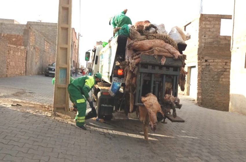 كانوا يستفيدون من 'بطاين العيد'.. عمال النظافة يفقدون مصدر دخلهم في عيد الأضحى