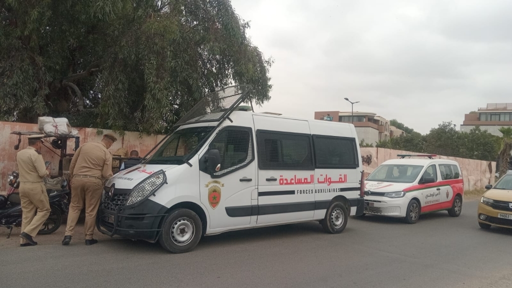 بهدف حماية القطيع الوطني.. حجز دفعة جديدة من 'النعاج' بمراكش+ صور