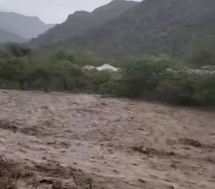 "عزلة حدّة" منكوبة بالفيضانات.. وفاة عقيد وجرف مساحات زراعية وممتلكات مزارعين في النادرة بإب