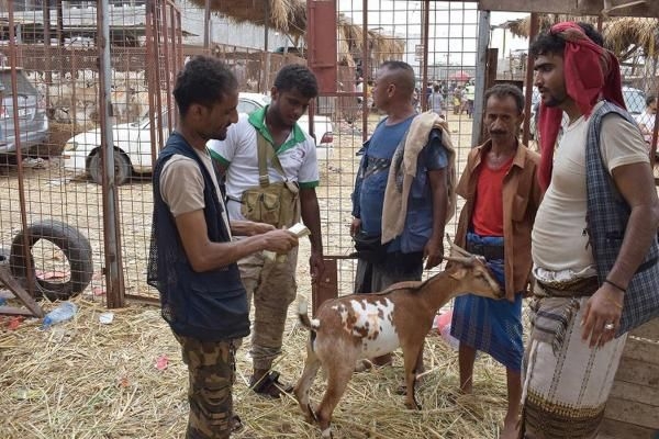 جبايات حوثية تطول أضاحي العيد في الحديدة
