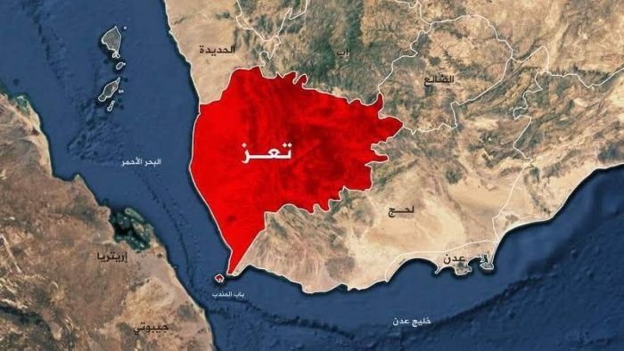 في شكوى رسمية إلى رئيس الحكومة.. مصلحة الضرائب تتهم محور تعز بمصادرة إيرادات القات