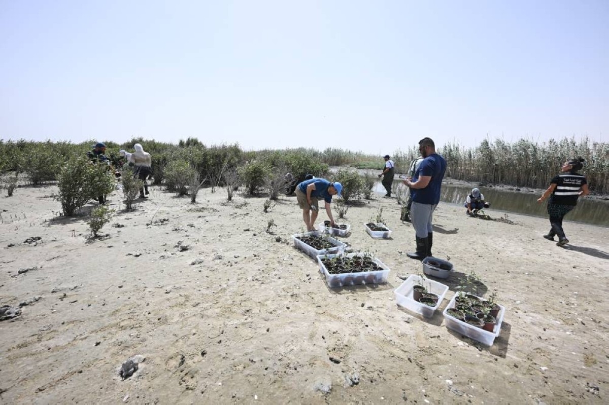 EPA, UN-Habitat and volunteers plant 300 mangrove saplings