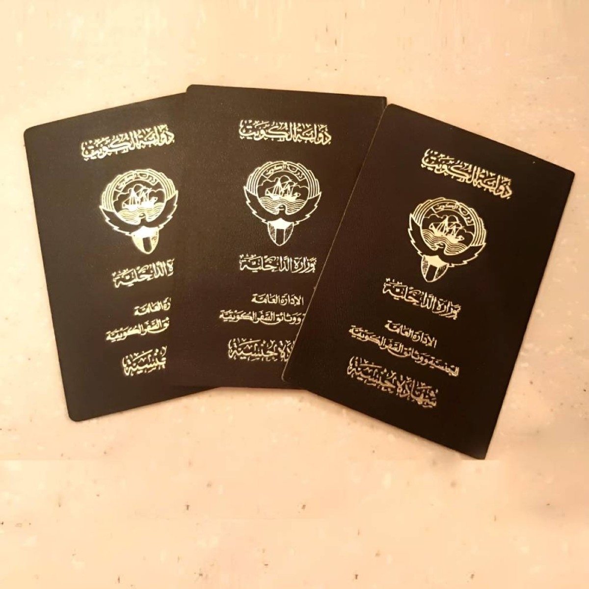 5,148 grievances against revocation of citizenship filed