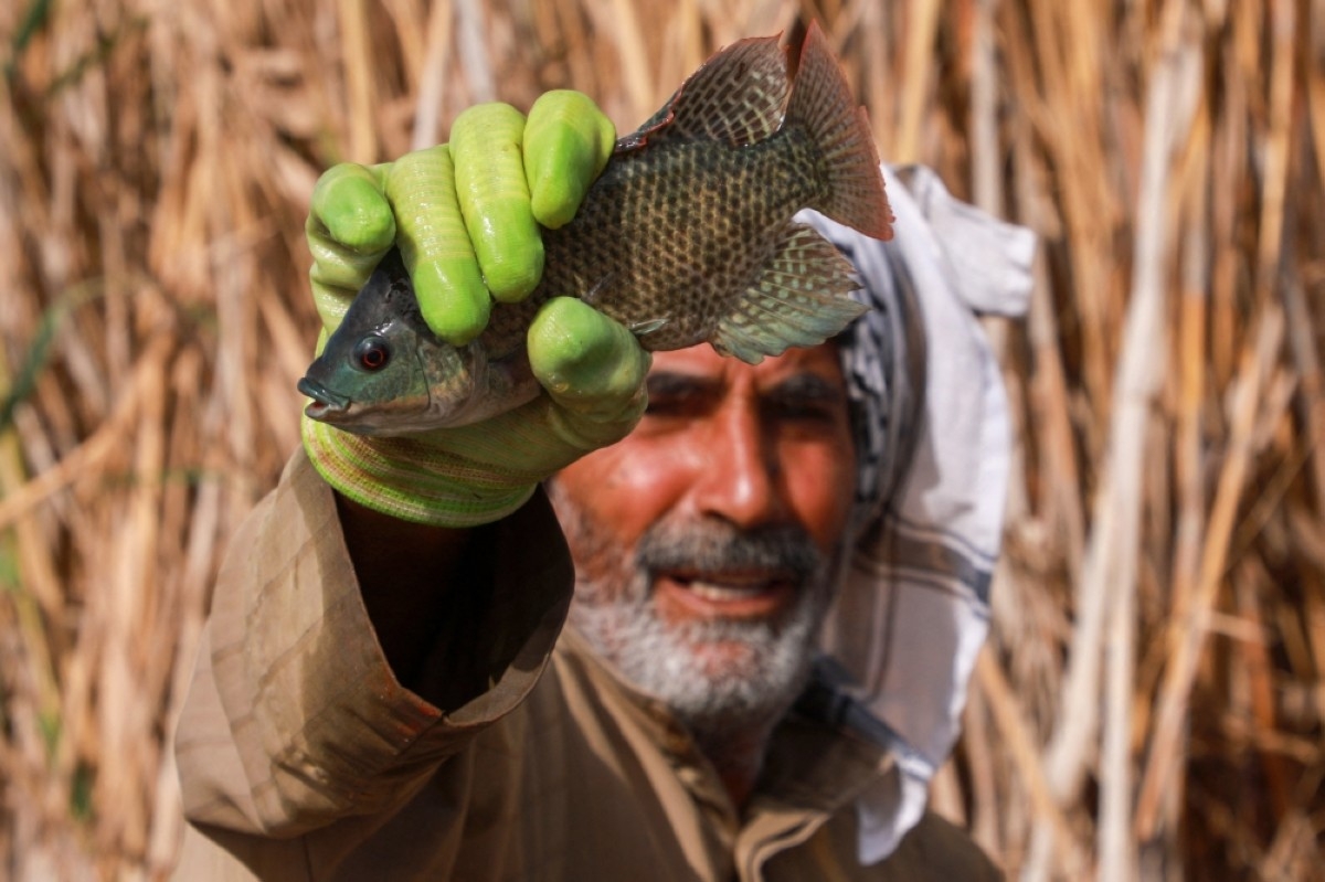 Iraqis fear oil drilling would destroy fabled wetlands