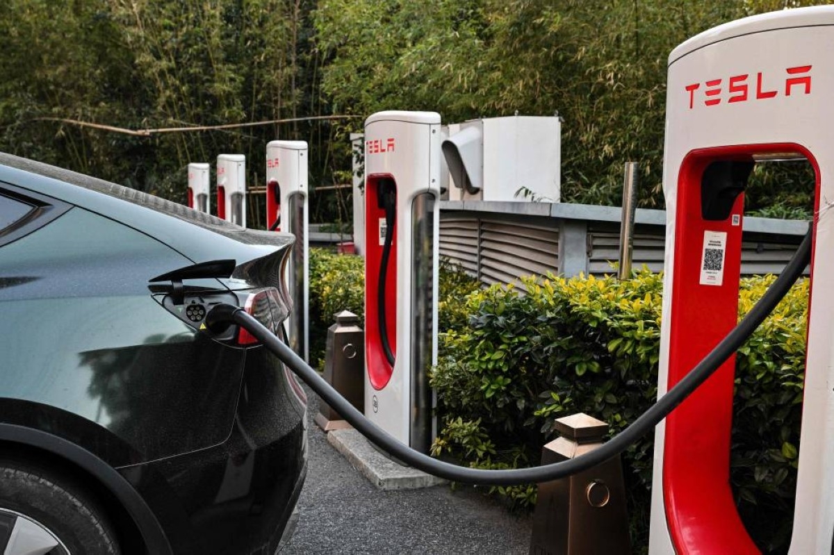 Tesla EU sales slump by 53%