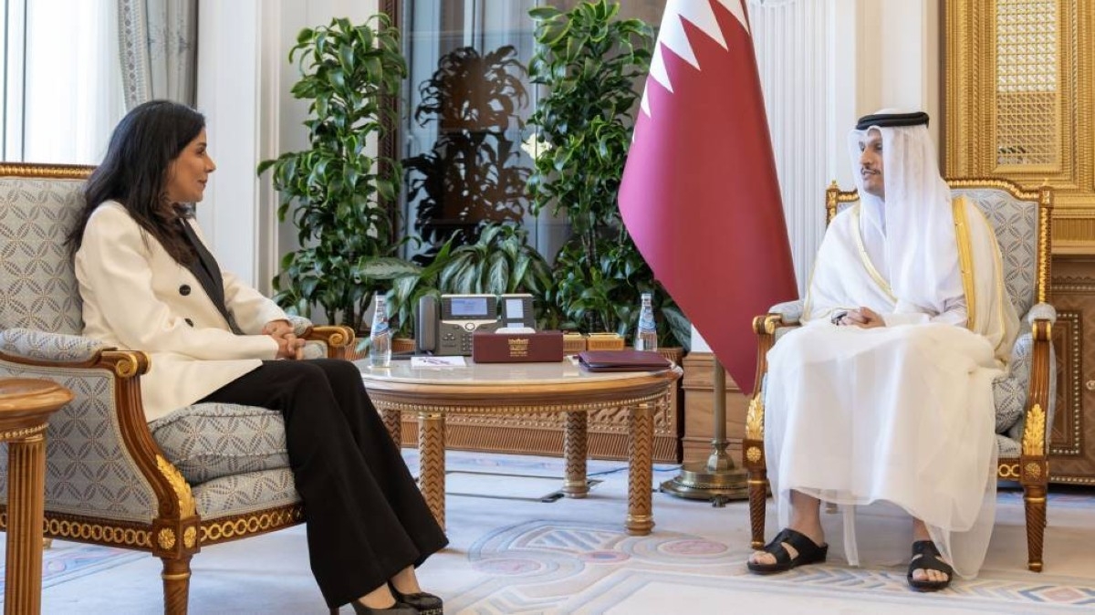 Public works minister discusses cooperation with Qatari PM