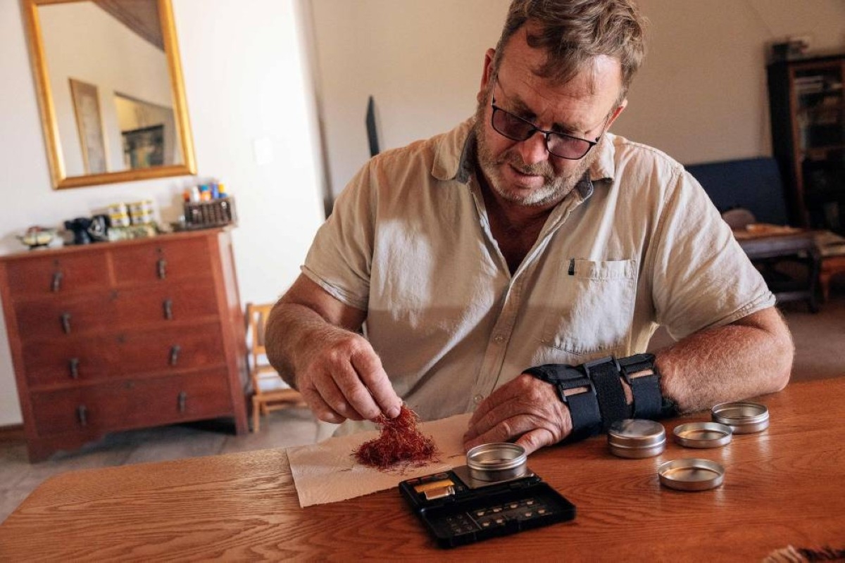 New to South Africa, saffron holds promise
