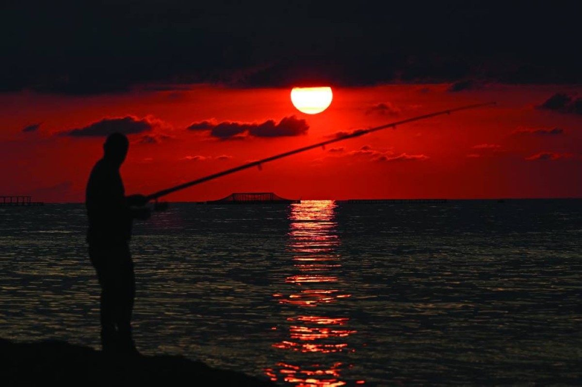 ‘Turkish salmon': The Black Sea's new rose-coloured gold