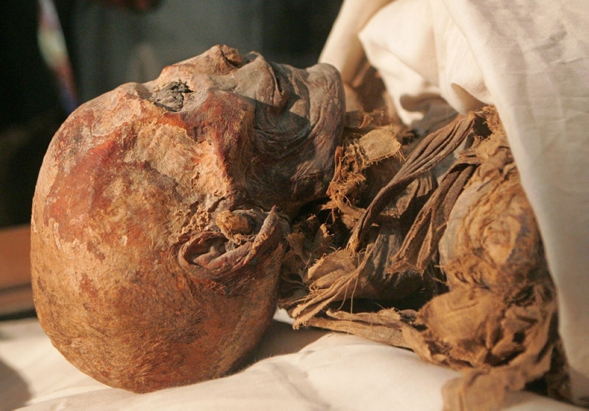 Gender not main factor in attacks on Egyptian woman pharaoh: Study