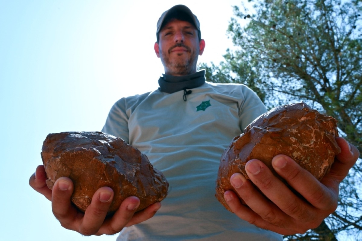 Eggs en Provence: France's unique dinosaur egg trove