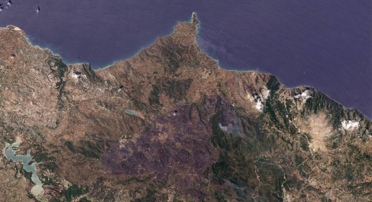 Syria contains forest fires after 10 days