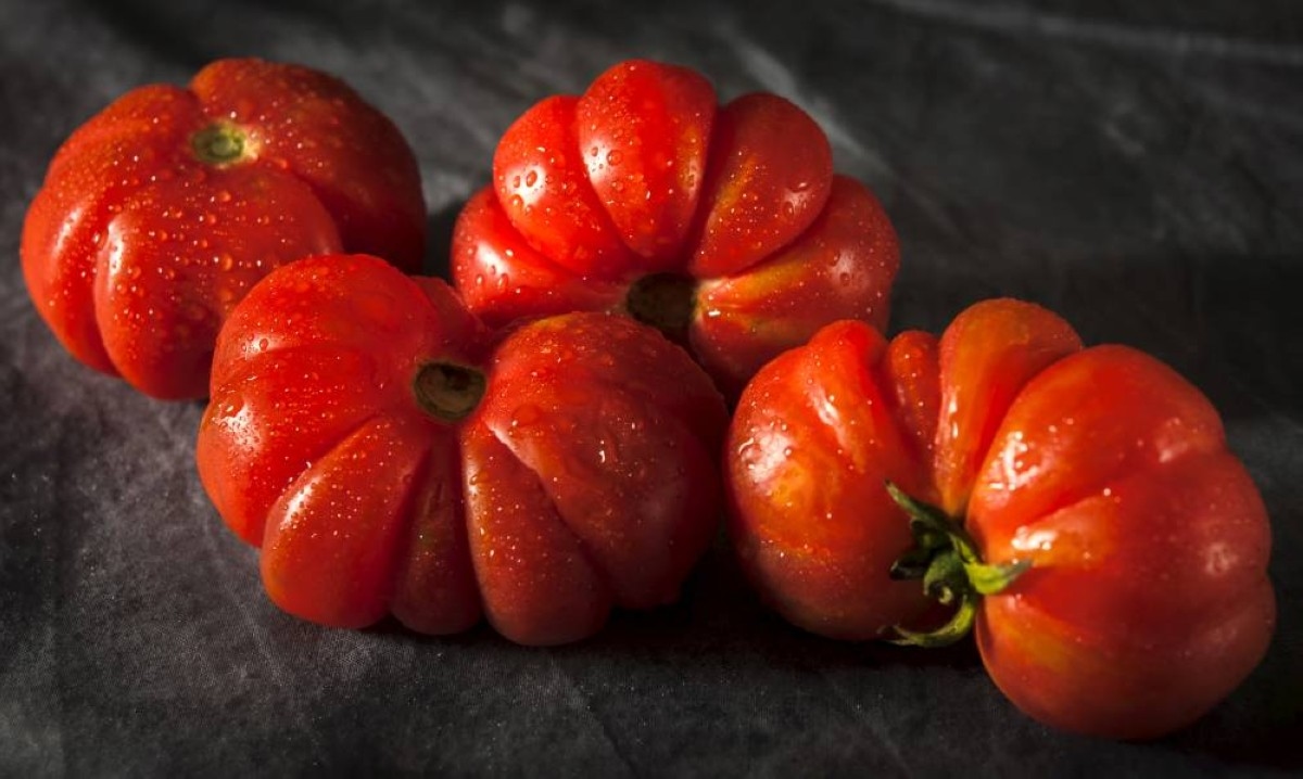 US slaps 17% duty on most Mexican fresh tomatoes
