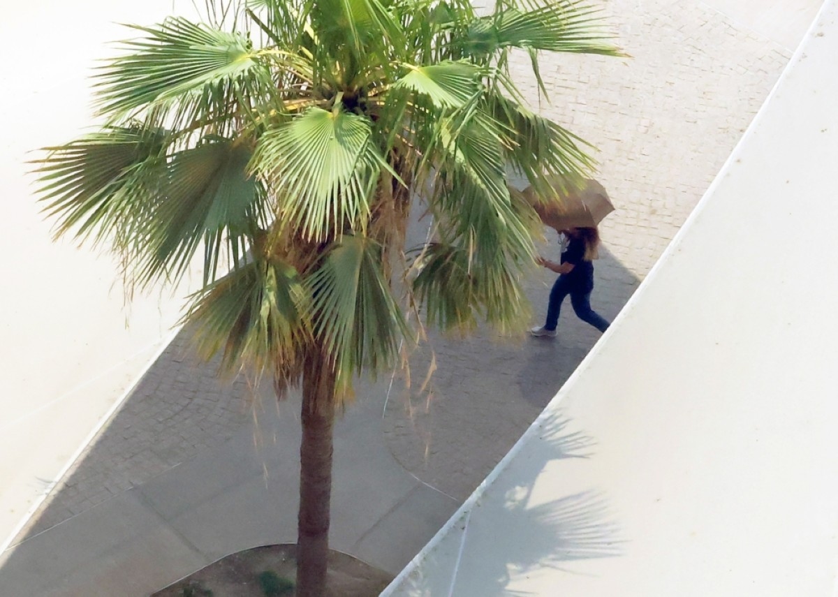 Expert urges caution as rising humidity triggers respiratory issues
