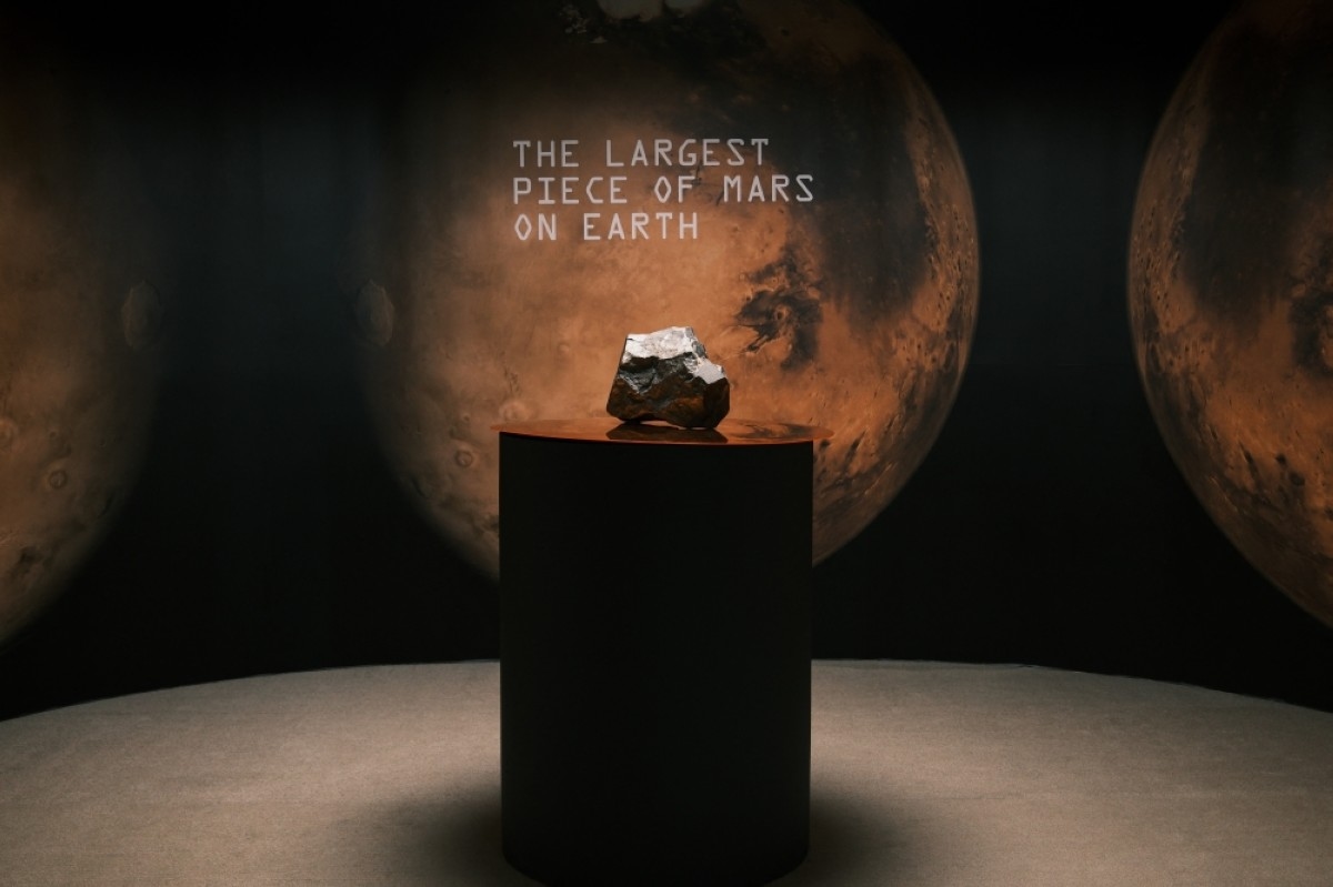 Auction of world's largest Mars meteorite sparks ownership debate