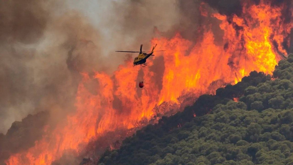 Spanish wildfires destroy 115,000 hectares of land, continue spreading rapidly