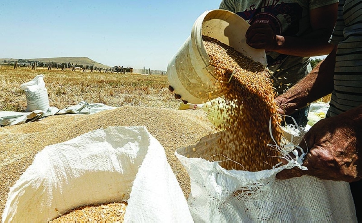 Historic drought, wheat shortage to test Syria leadership