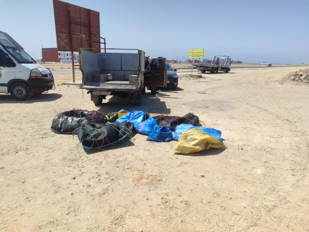 الداخلة: توقيف شخصين وحجز كميات من الرخويات خلال حملة ضد الصيد غير القانوني بالإطارات الهوائية