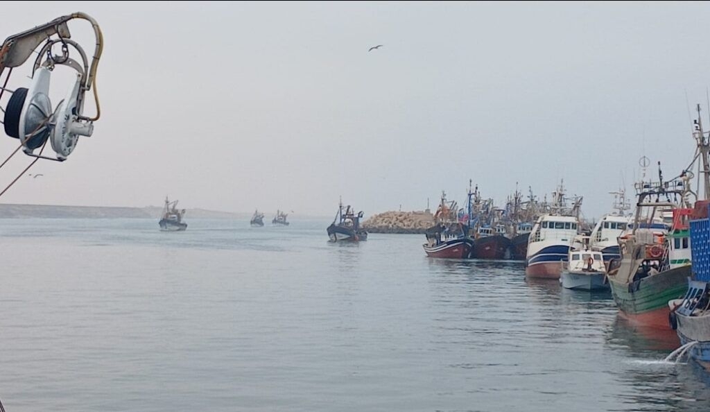 جمعيات مهنية تستنجد بعامل طانطان بسبب غلاء الكازوال وتهديد نشاط الصيد الساحلي  يوسف بوصولة  وجهت عدد من الجمعيات المهنية المنضوية تحت لواء الكونفدرالية المغربية للصيد الساحلي مراسلة رسمية إلى عامل إقليم طانطان تلتمس فيها التدخل العاجل من أجل رفع الضرر الناجم عن الارتفاع الحاد في أسعار الغازوال، والذي بات يهدد استمرارية النشاط المهني بميناء المدينة.  حسب المراسلة طالبت الهيئات المهنية بمراجعة أثمنة المحروقات بالميناء، مشيرة إلى أن الفارق السعري مع موانئ أخرى بالمملكة يصل إلى 1100 درهم للطن، وهو ما يؤثر سلبا على مردودية المراكب ومستوى تنافسية مفرغات الصيد.  أفادت مصادر مهنية أن الوضعية الراهنة تنذر بأزمة شاملة في القطاع إذا لم يتم تداركها، مشيرة إلى أن بعض المجهزين يضطرون لجلب الكازوال من ميناء أكادير عبر شاحنات صهريجية، بينما تلجأ مراكب أخرى للتزود من موانئ مجاورة لتفادي الأثمنة المرتفعة.  وأكدت ذات المصادر أن هذا الوضع يثقل كاهل المستثمرين ويهدد استقرار القطاع الحيوي داعية إلى مقاربة شمولية تراعي البعد الاقتصادي والاجتماعي للمنطقة وتساهم في حماية الاستثمار واستدامة نشاط الصيد البحري.   وسبق أن دعت إحدى الهيئات المهنية الحكومة إلى اعتماد آلية دعم خاصة بأسطول الصيد الساحلي، الذي يضم أزيد من 1800 وحدة صيد لتمكينه من التزود بالمحروقات بأسعار مدعمة وتفضيلية، بالنظر إلى الدور المحوري الذي يلعبه القطاع في الاقتصاد الوطني والتشغيل المحلي.