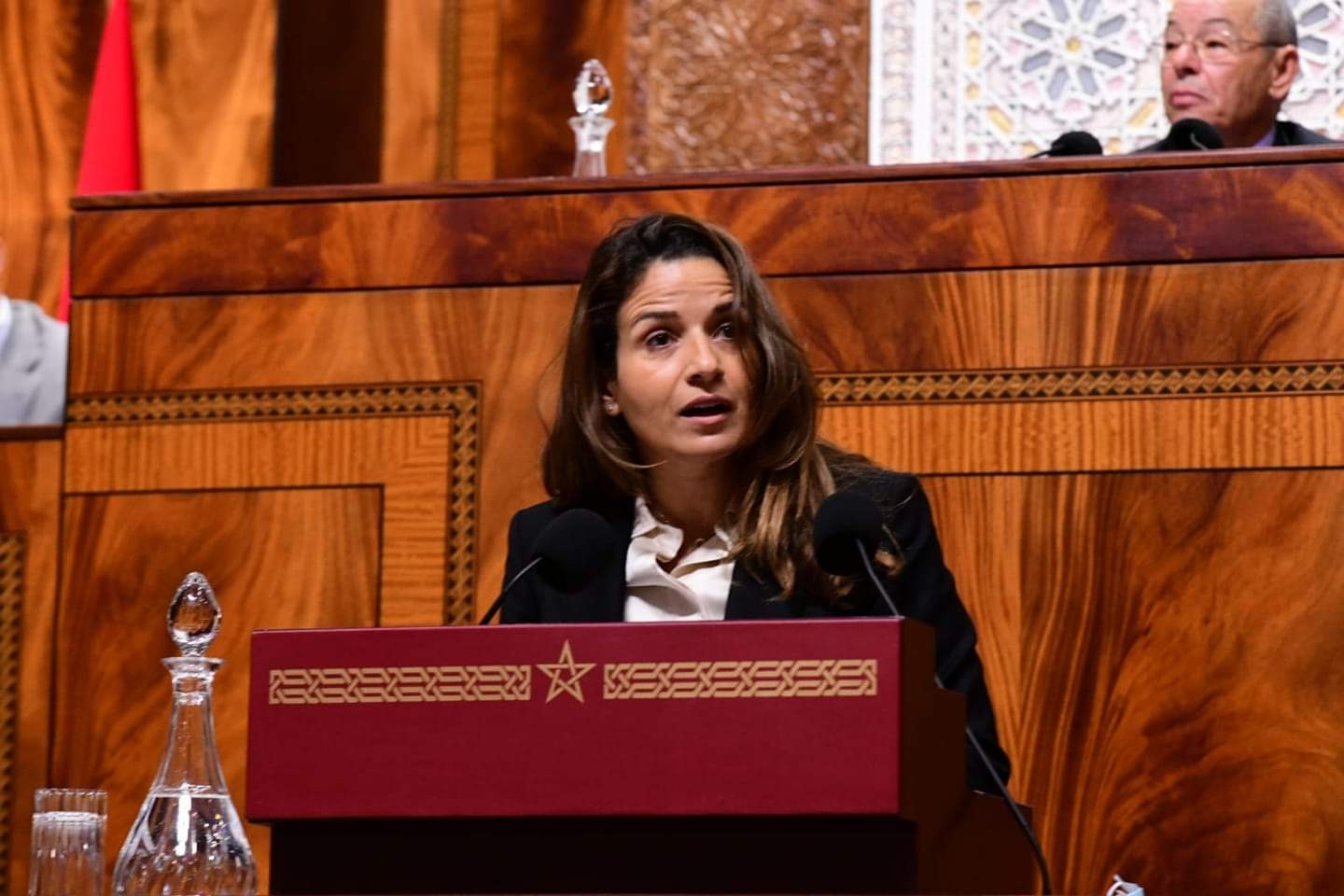 بنعلي: برنامج تدبير النفايات المنزلية يكلف 21 مليارا واستيراد المواد القابلة للتدوير يخضع لضوابط صارمة