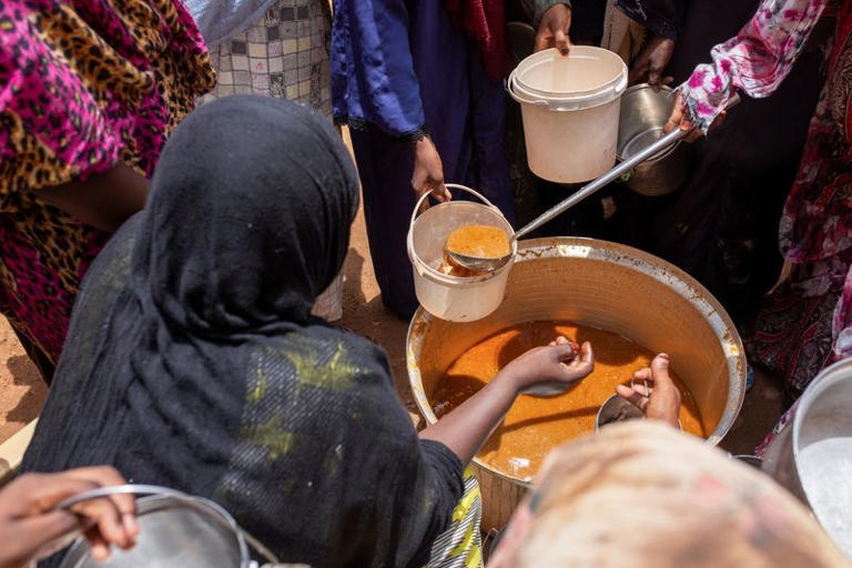 بسبب ترامب.. 66 ألف طن من الغذاء الأمريكي على وشك التلف بينما يعاني الملايين من الجوع