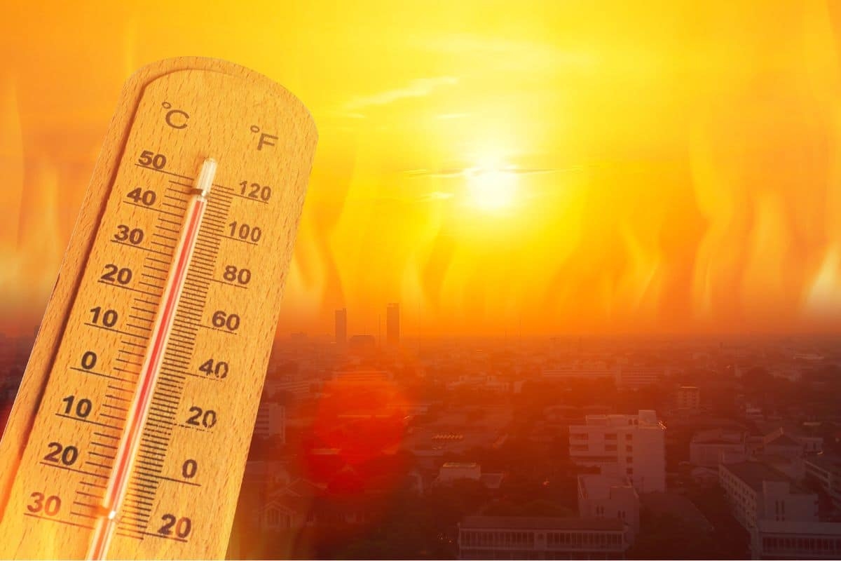 تجاوزت الـ50 درجة.. الإمارات تشهد أعلى مستوى حراري لشهر ماي