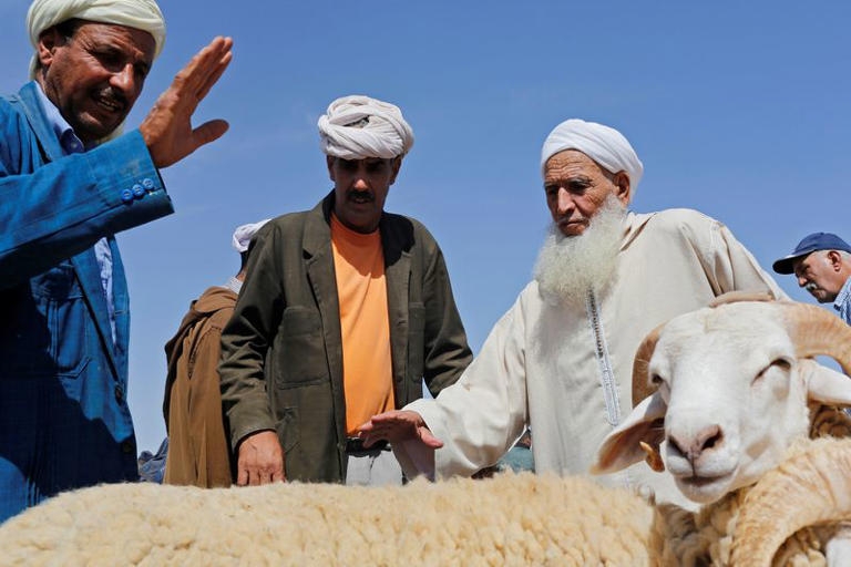 مع اقتراب العيد.. المغاربة منقسمون بين المصلحة العامة وشعيرة الذبح