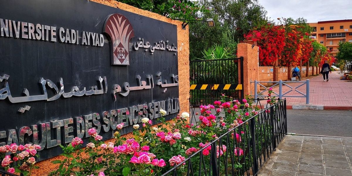 الفيزياء تُدرج ست جامعات مغربية ضمن أقوى 2000 مؤسسة بحثية عالميا.. وجامعة القاضي عياض تتصدر وطنيا