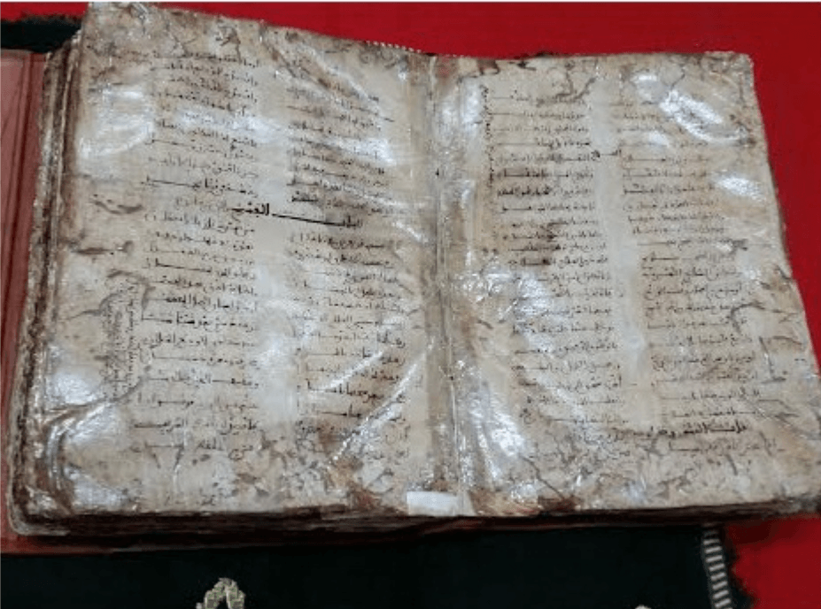 اليونسكو.. إدرج 'الأرجوزة الطبية' لابن طفيل في سجل 'ذاكرة العالم'