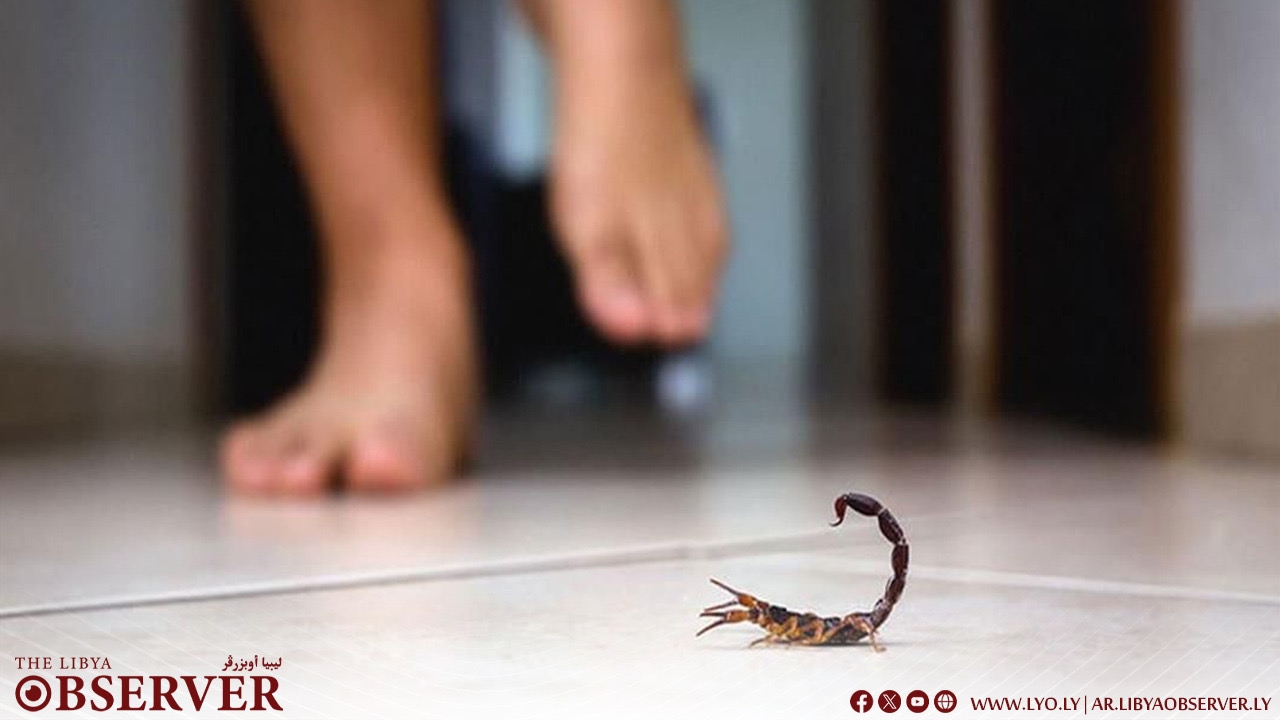 Kufra sees surge in scorpion stings, health officials warn