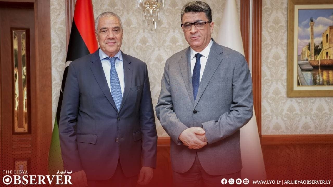 Shakshak discusses technical support programs with German ambassador