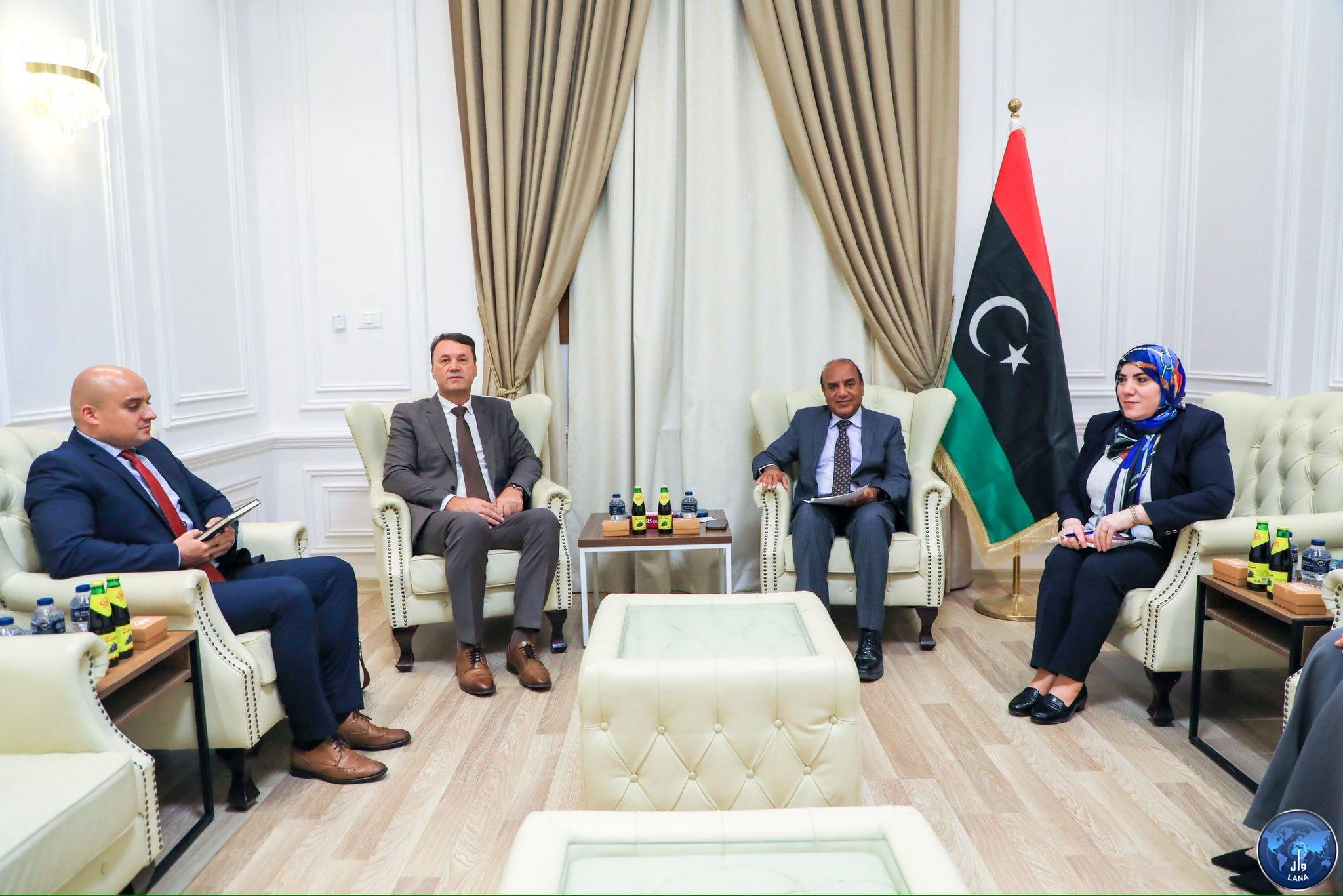Libya, Bosnia discuss launching direct air route