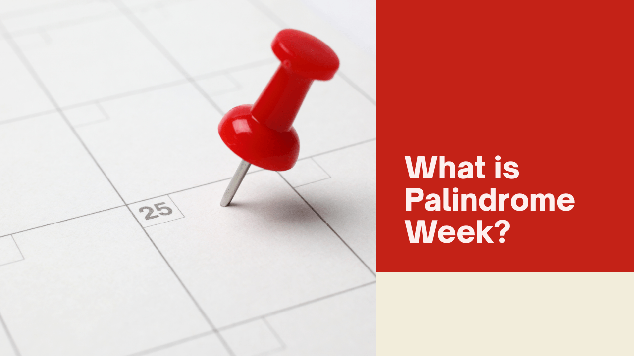 Welcome To Palindrome Week – A Quirky Twist To The Calendar!