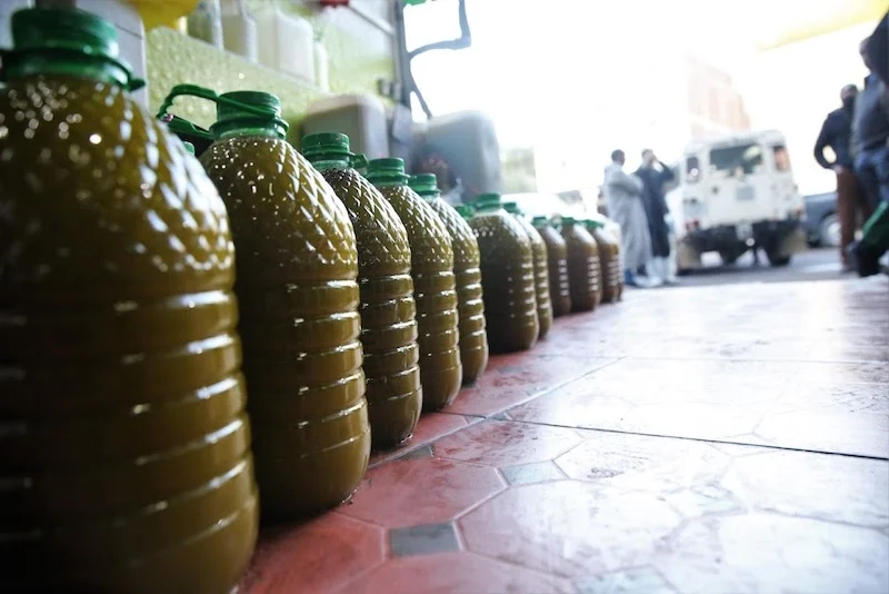 مرة أخرى.. الإطاحة بشبكة للاتجار في « زيت الزيتون المغشوشة »