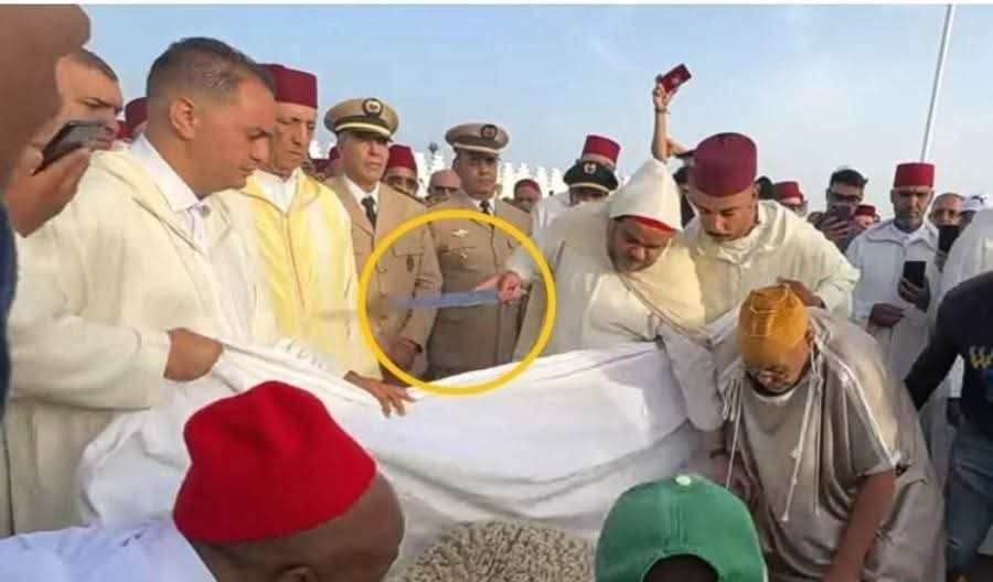 ولنا رأي في سكين النحر الذي ذبح في مراكش من ذبح!