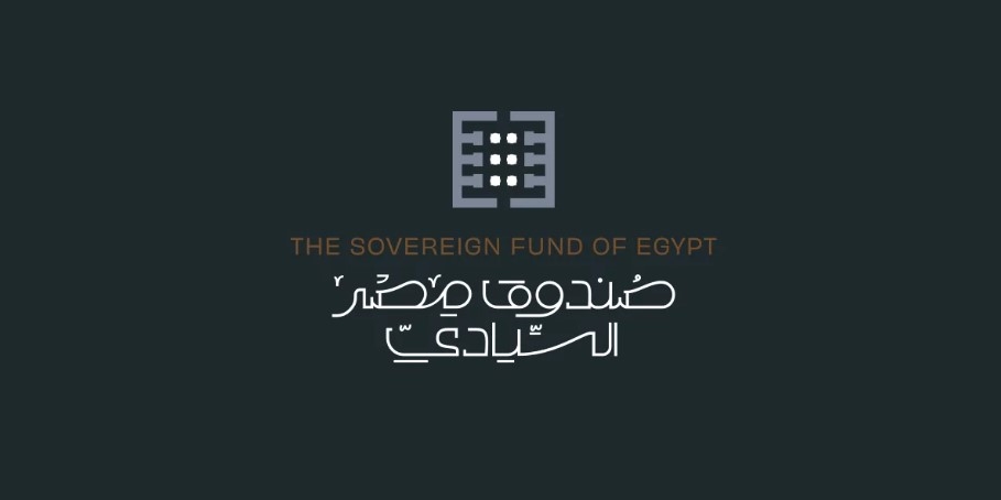 هل ينجح الصندوق السيادي في إدارة شركات قطاع الأعمال