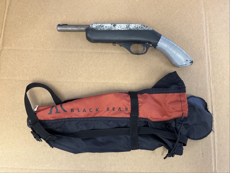 One Before The Courts Following Search Warrant In Lower Hutt