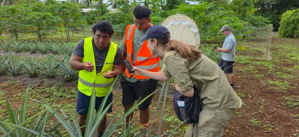 Cook Islands Completes Landmark Crop Pest Survey To Strengthen Trade And Plant Health