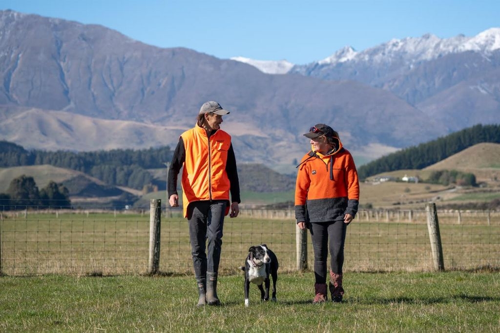 New Zealand Farm Dog Genetic Study Shows Top Five Health Risks