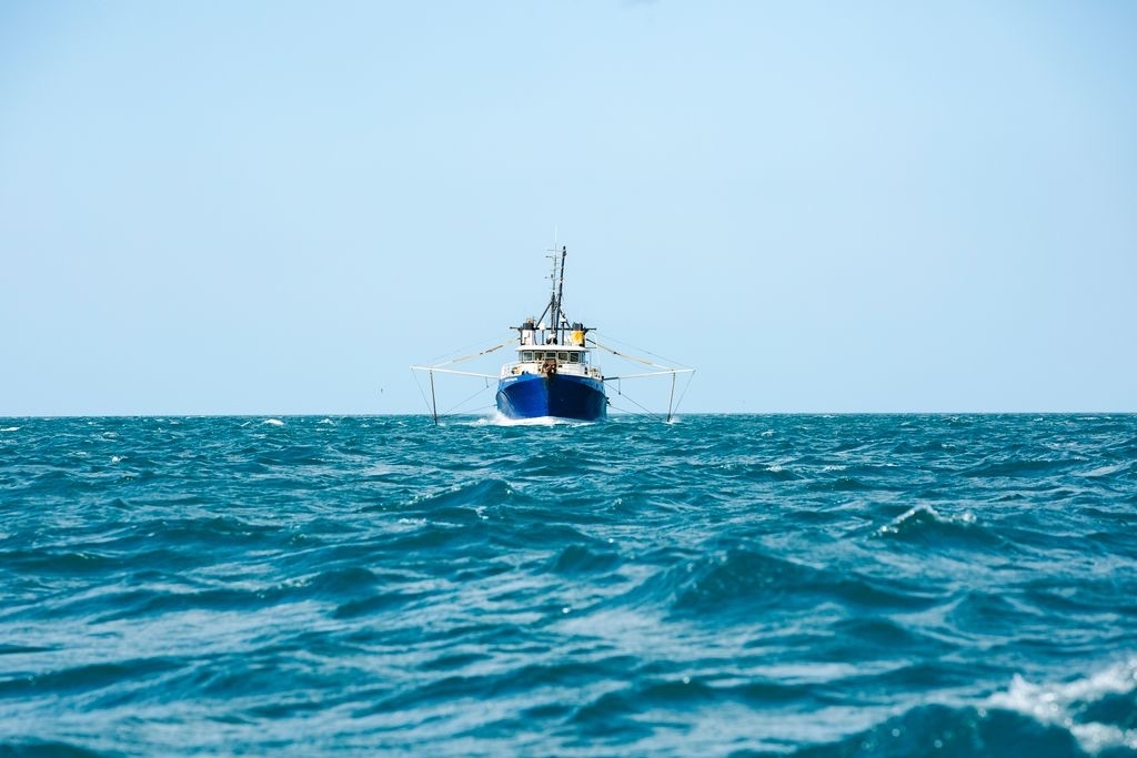 Seafood NZ Prepares For 'Thoughtful' Conference – Seafood's Science, Storytelling And Health Benefits All On The Table