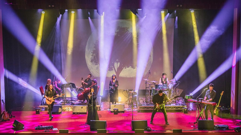 Fleetwood Mac Tribute Tour Hits The Right Note For Youth Mental Health