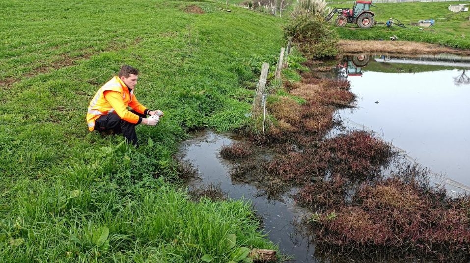 Waikato Farmer Convicted For Pollution