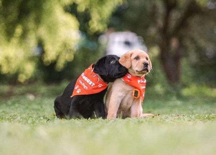 PAWGUST Heads To Takapuna