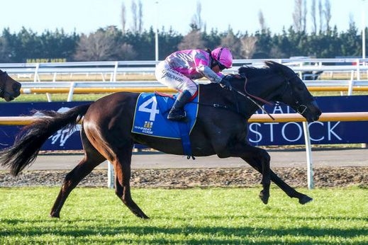 Chase (NZ) Triumphs In Group Three Winter Cup